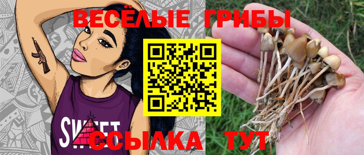 Галлюциногенные грибы ЛСД Вятские Поляны